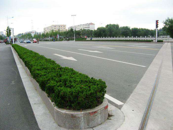 五莲红弯道路沿石安装